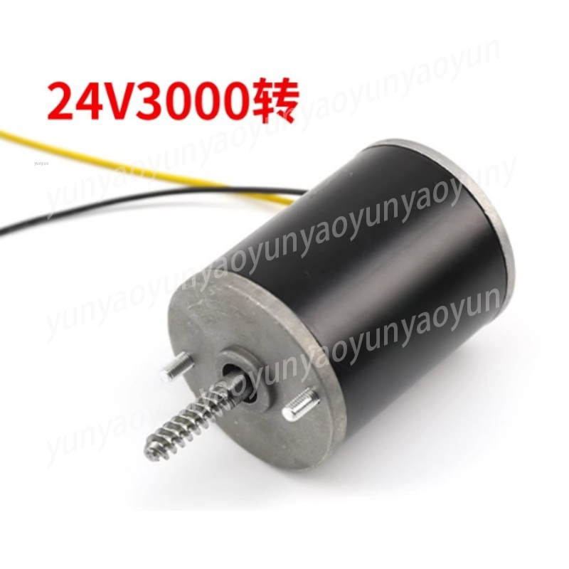 Crane Claw Motor - Silnik do dźwigu 24V, silnik z